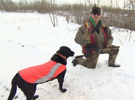 Scaring Off Coyotes By Shooting Chalk Balls Is Inhumane Says Calgary Expert Cbc News