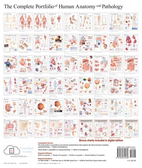 The Complete Portfolio Of Human Anatomy And Pathology Digital Copy