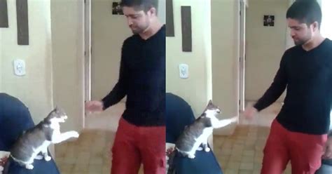 Watching A Kitten Fist Bump This Man Will Make Your Heart Explode With