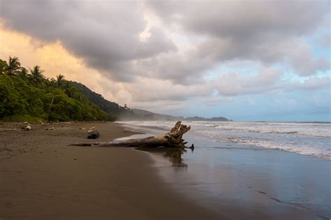 Costa Rica Dominical Reboot Life