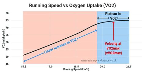 Vvo2max The Velocity At Vo2max Updated 2021 A Key Training Intensity