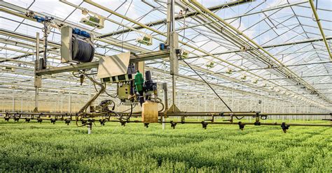 Controlled Environment Agriculture A Futuristic Fix For The Food