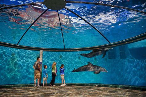 Best Things To Do In Indianapolis With Kids Kids Are A Trip