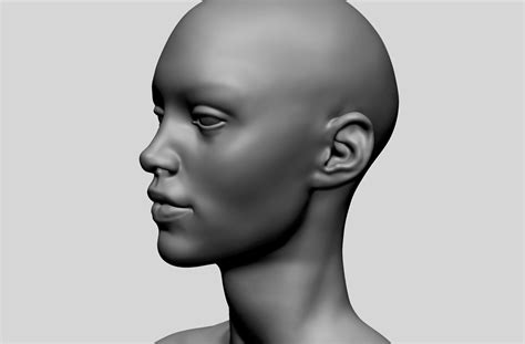 Artstation Female Head Basemesh Resources