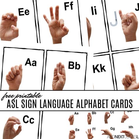 Free Printable ASL Sign Language Alphabet Cards & Poster | And Next ...