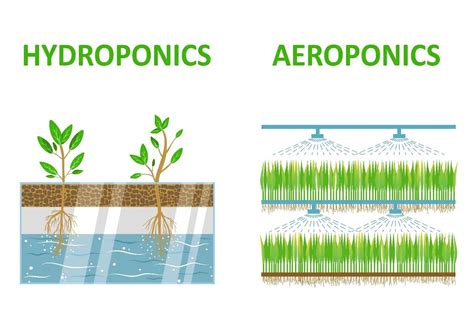 Difference Between Hydroponics Aquaponics And Aeroponics Green