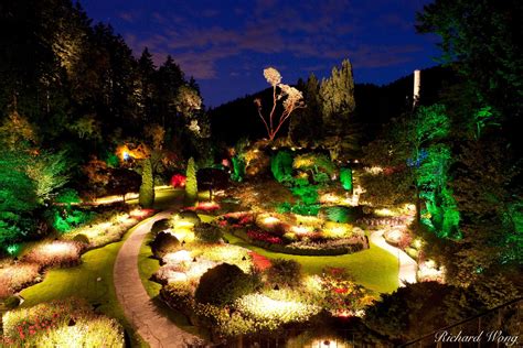 The Butchart Gardens At Night Photo Richard Wong Photography