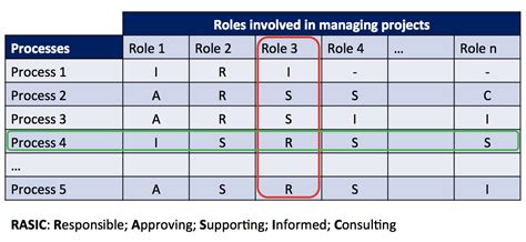 The Rasic Chart A Key Tool For Collaboration In Projects Ipma