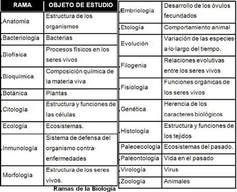 Generalidades De Biologia Ramas De La Biologia