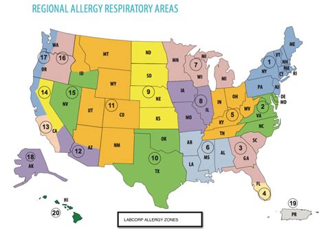 Allergy Testing Labcorp Allergy Testing Zones Time Of Care