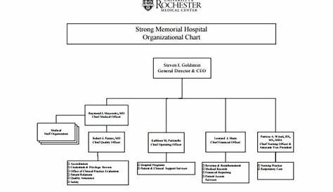 Organizational Chart Template - 17+ Free Sample, Example, Format Download!