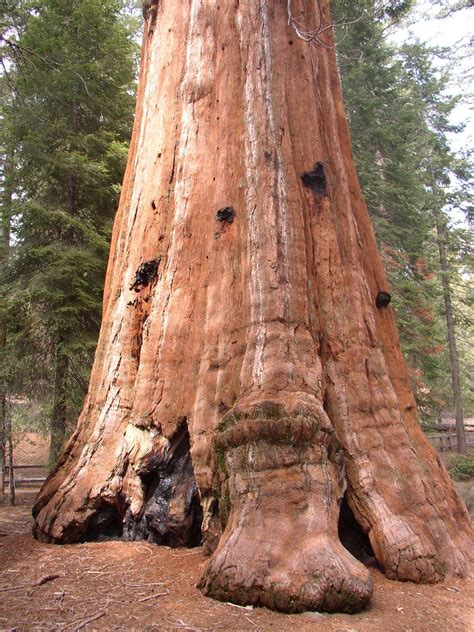 Giant Sequoia National Monument Rankings. This includes all Location and school classes