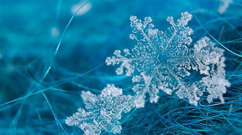 Snowflake Backgrounds 65 Images