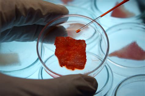 Lab Grown Meat In Restaurants The Good The Bad And The Tasty — 9fold