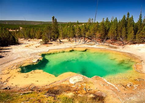 Emerald Spring Yellowstone National Park Adrian Yeng Flickr