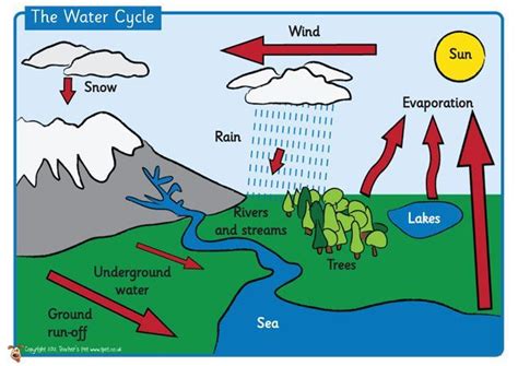 Teachers Pet The Water Cycle Poster Free Classroom Display