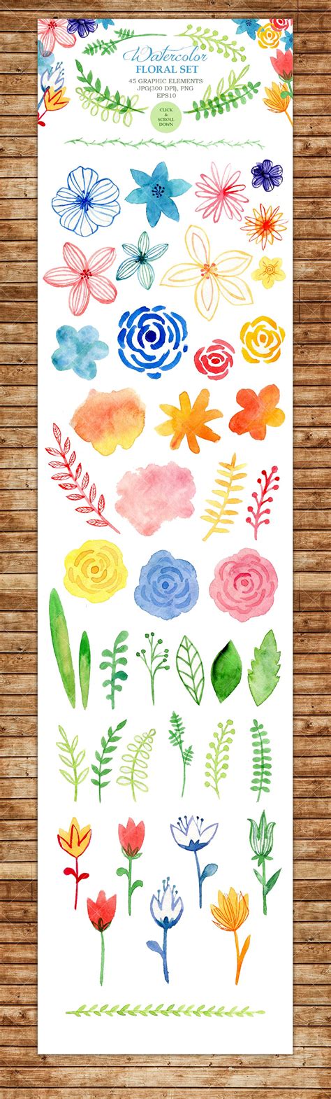 Watercolor Floral Set ~ Graphic Objects ~ Creative Market