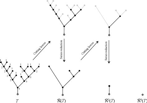 Figure 1 From Random Self Similar Trees And A Hierarchical Branching