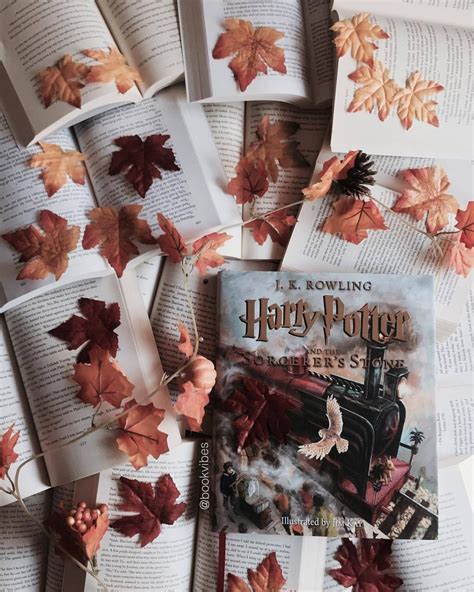 Pin By Pumpkin Queen On Books And Libraries Harry Potter Illustrations