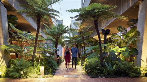 Room To Grow Green Urban Spaces In A Subtropical City