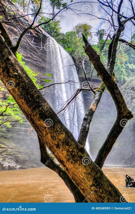 Boti Falls Ghana Stockbild Bild Von Afrika Szene Fälle 48568909