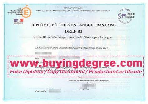 Why To Get A French Delf B2 Diploma And Transcript