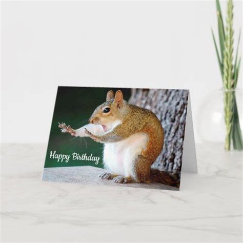 Happy Birthday Squirrel Card Zazzle In 2022 Happy Birthday Squirrel