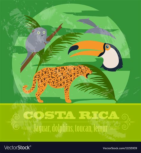 Costa Rica National Symbols Dolphins Jaguar Toucan