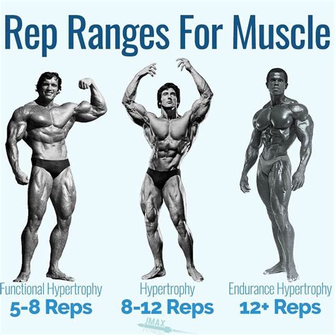 Rep Ranges For Muscle High Reps And Low Weights Or Low Reps And High