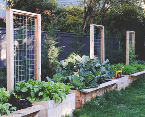 25 Beautiful Diy Trellis For Small Garden Homemydesign