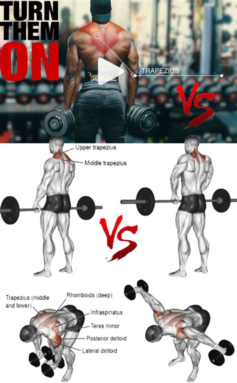 The Best Trap Workouts And Exercise Guides Video