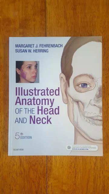 Illustrated Anatomy Of The Head And Neck By Margaret Fehrenbach