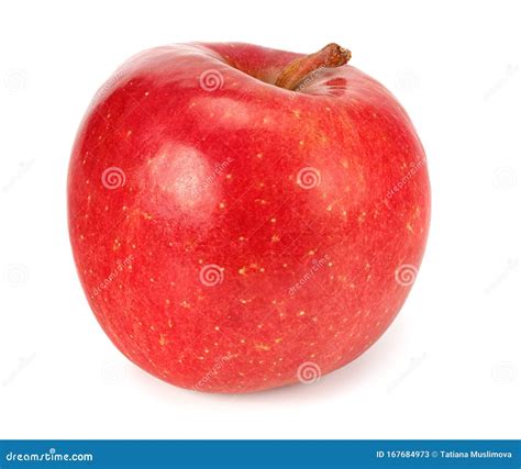 One Red Apple Isolated On White Background Stock Image Image Of