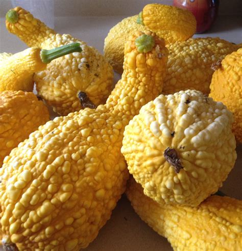 You can use grated zucchini in stews and soups in winter. How To Freeze Summer Squash & Zucchini