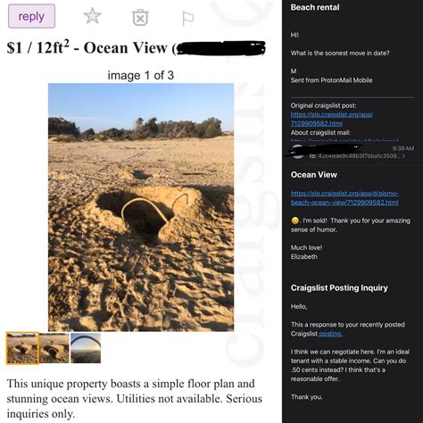 Posted a hole at the beach on Craigslist and got several rental