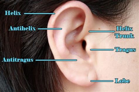 How To Put In A Helix Piercing Anderson Beesic