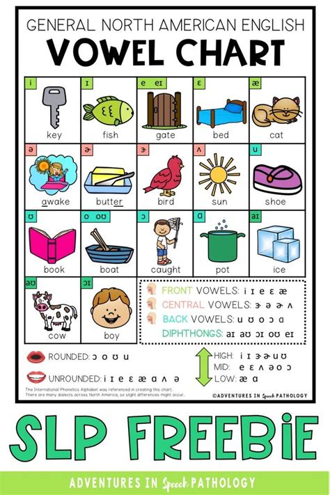 Australian English Vowel Chart For Speech Therapy Vowel Chart Speech