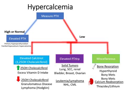 Hypercalcemia Differential Diagnosis Algorithm Elevated Grepmed
