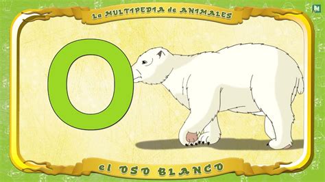 Multipedia De Los Animales Letra O El Oso Blanco Youtube