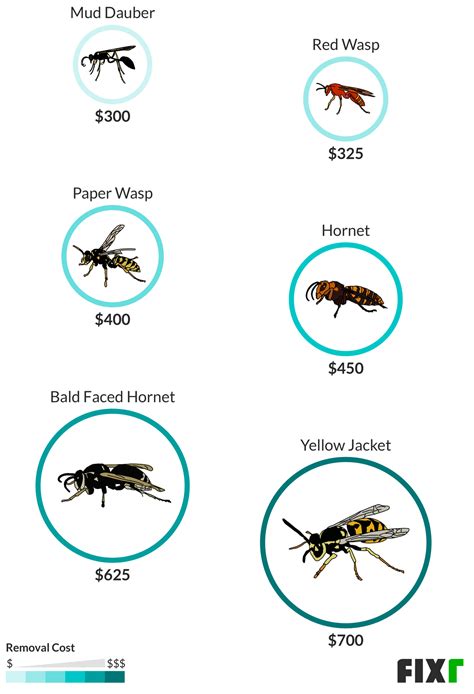 wasp nest removal cost cost  remove wasps