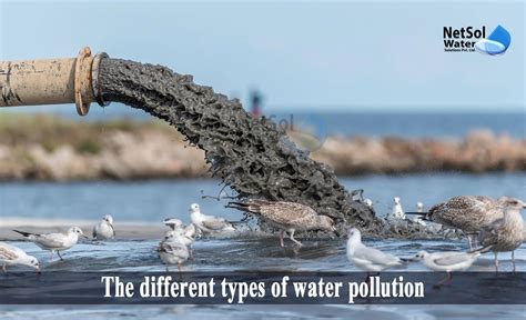 What Are The Different Types Of Water Pollution Netsol Water