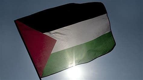 Large png 2400px small png 300px. La bandera palestina ondeará en la ONU por primera vez ...