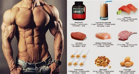 High Protein Muscle Building Foods You Must Start Eating Bodydulding