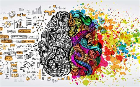 Cerveau droit ou cerveau gauche : quelles différences
