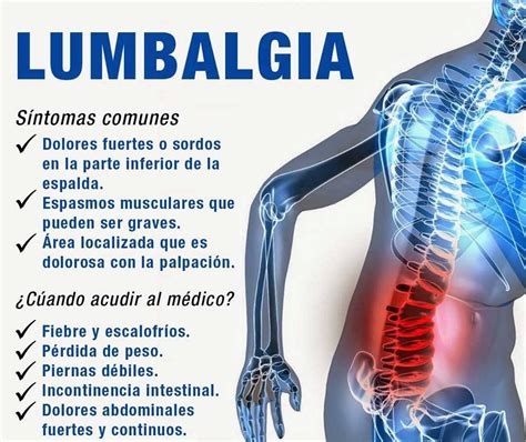 Lumbalgia Causas Sintomas Y Tratamiento Del Dolor Lumbar En Sevilla