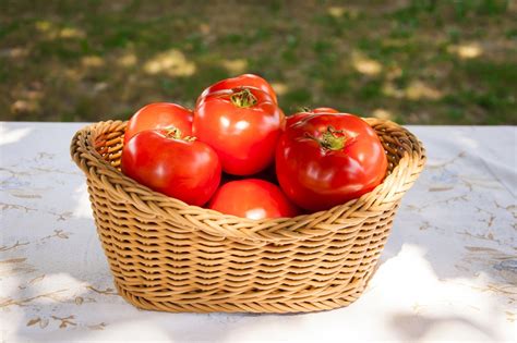 Free Photo Fresh Tomatoes Basket Tomato Free Image On Pixabay