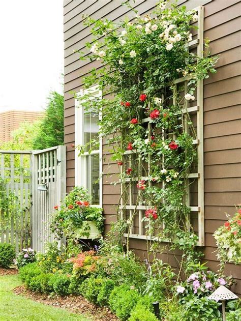 May 07, 2021 · one of the best flowering shrubs for shady spots, kerria produces masses of bright yellow flowers in april and may. Wonderful DIY trellises for climbing plants | My desired home