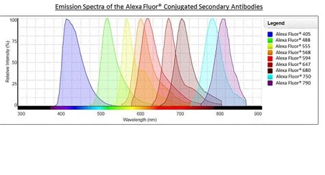 The exact degree of labeling is. Goat Anti-Mouse IgG H&L (Alexa Fluor® 647) (ab150115) | アブカム