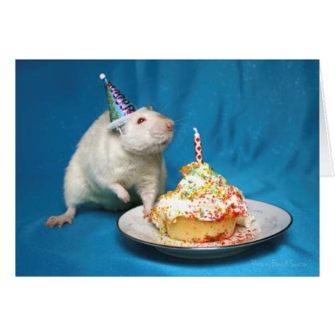 Happy Birthday Rat Card Zazzle