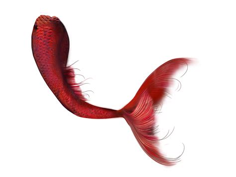 Ariel Picsart Photo Studio Tail Mermaid Mermaid Tail Png Download